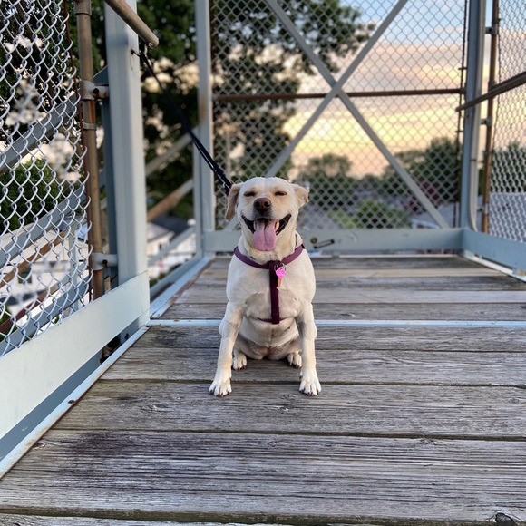 Meet your Posher, Taylor - Picture 1 of 1